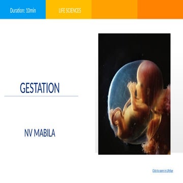 Gestation Life Sciences presentation.pptx