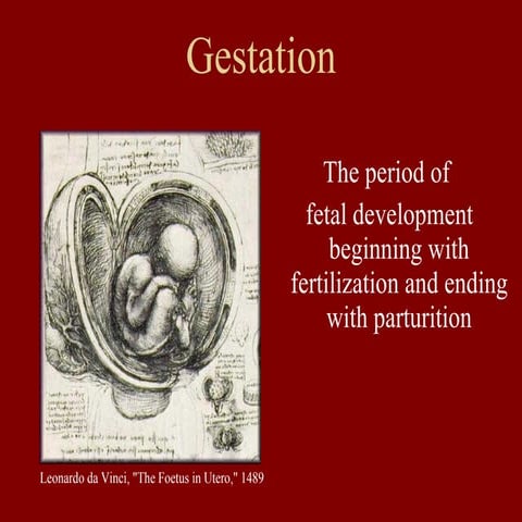 Stages of parturition in farm animals. | PPTX