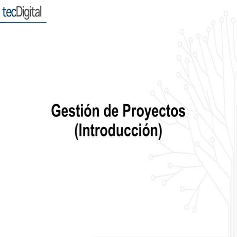 Gestión del proyecto (parte 1)