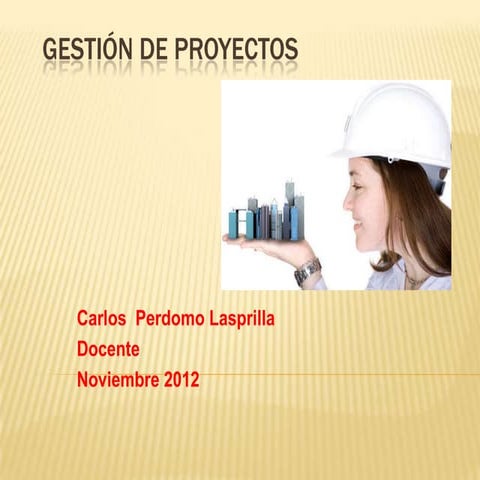Gestión de proyectos