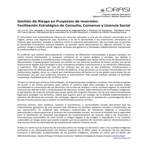 Gestión de Riesgo en Proyectos de Inversión: Facilitación Estratégica de Cons...
