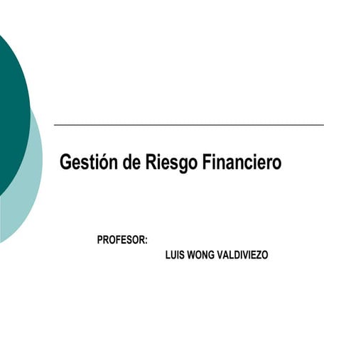 Gestion De Riesgo Financiero