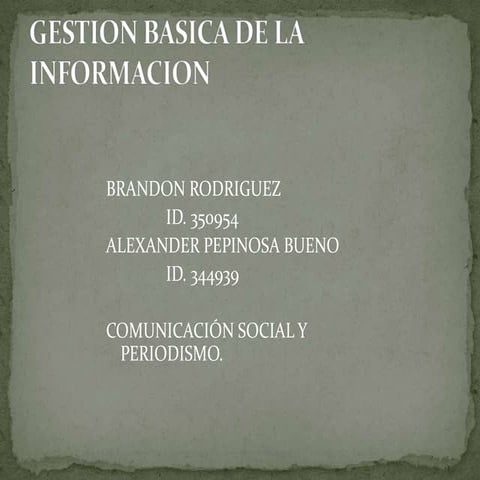 Gestion basica de la informacion brandon y alex