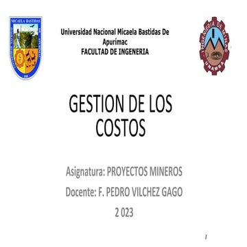 Gestión de Costos del Proyecto | PPTX