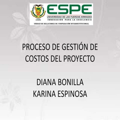 Gestion de los costos del proyecto | PPTX