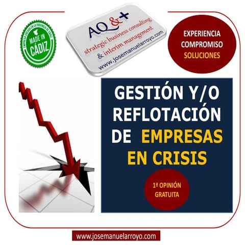 Gestión y Reflotación de Empresas en Crisis. Presentación de Servicios Profes...