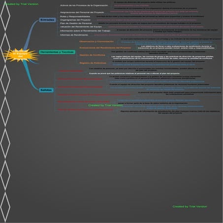 Gestionar el equipo del proyecto
