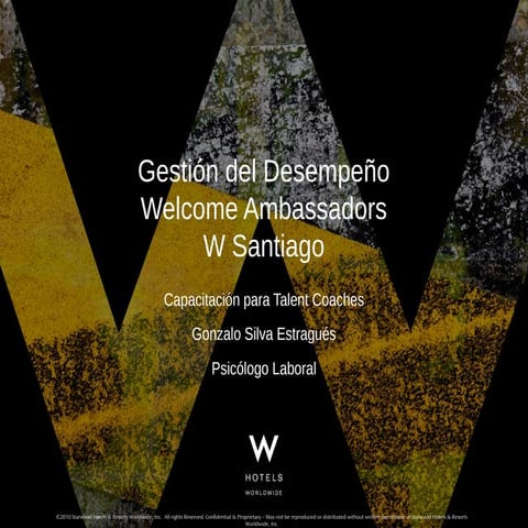 Gestion del desempeño w santiago