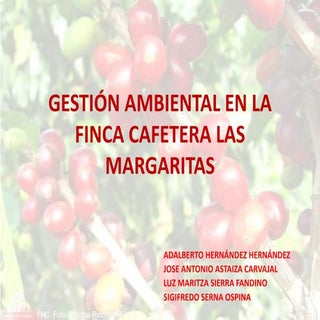 Gestion  finca cafetera