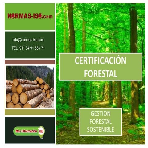 Historia de la certificación forestal | PDF