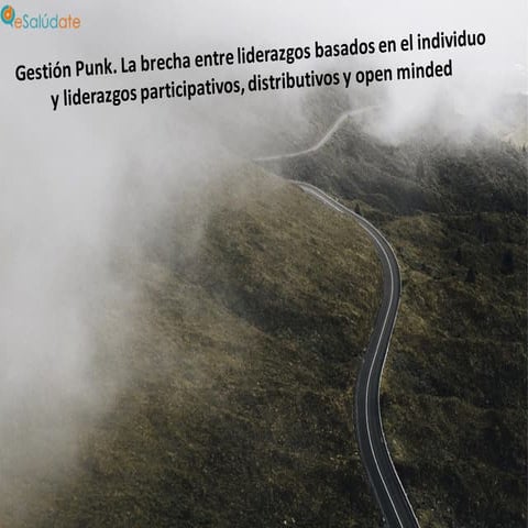 Gestión punk y liderazgo 2.0 en organizaciones sanitarias