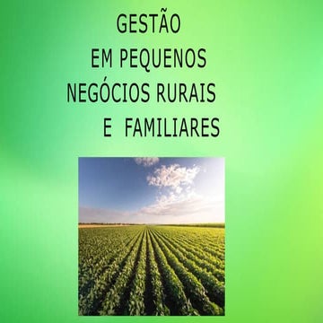 GESTÃO EM PEQUENOS NEGÓCIOS RURAIS. (2) (1).pptx