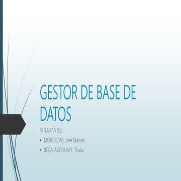 Gestor de Base de Datos