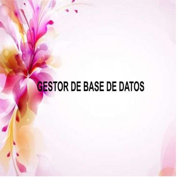 Gestor de base de datos