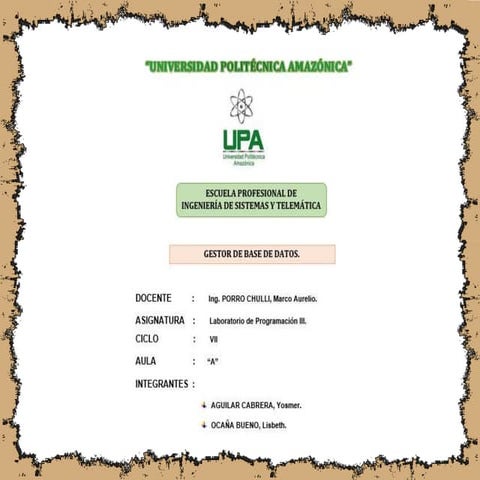 Gestor de Base de Datos.