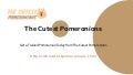 Get a trained pomeranian today from the cutest pomeranians. 1 getatrainedpomeraniantodayfromthecutestpomeranians 211114112321 thumbnail 2