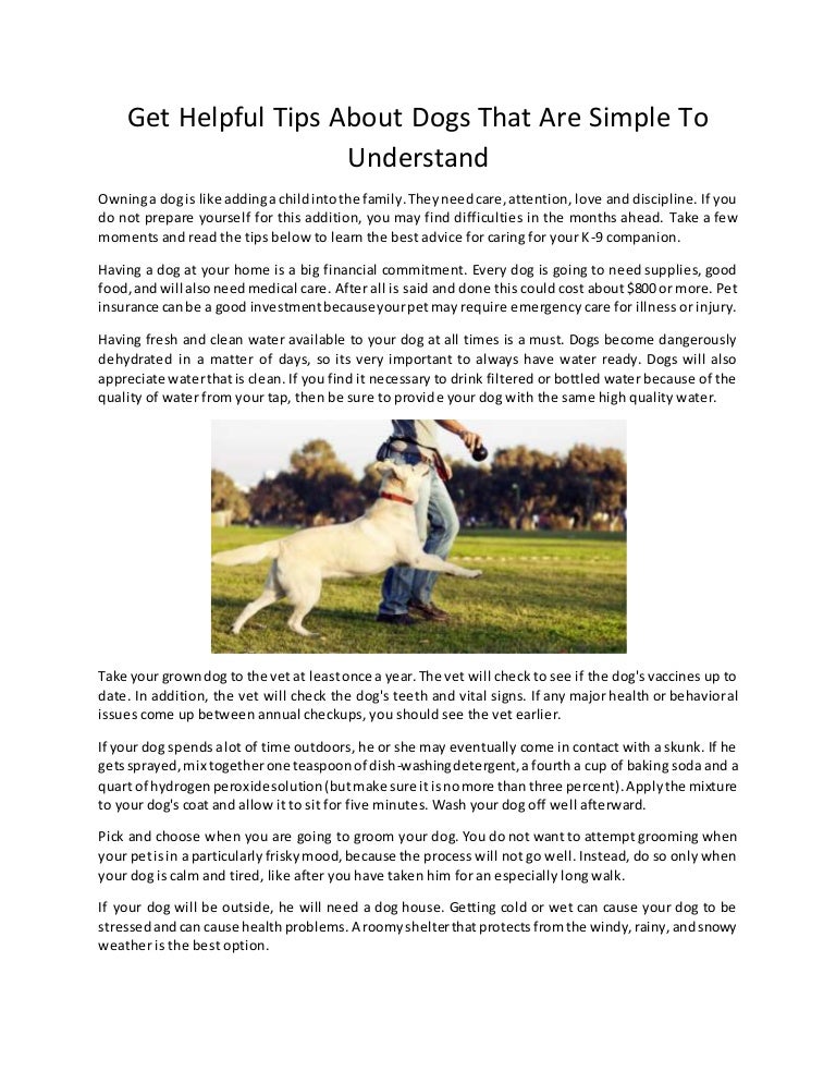 family dog training llc