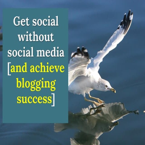 How to get social without social media [and achieve blogging success]