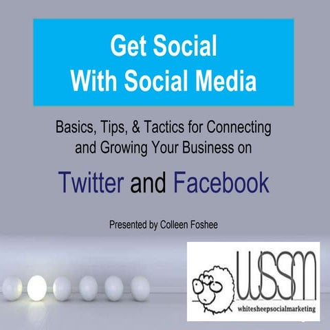 Get Social Twitter and Facebook Basics 2012 