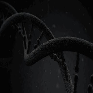 "Design is the Product's DNA" by Michael Rawling