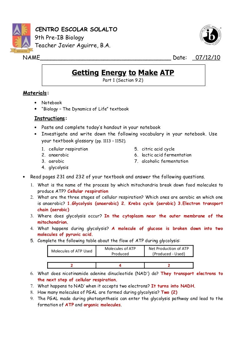 Getting energy to make atp part 24 (pp.2324-24) answer key Pertaining To Cellular Respiration Worksheet Key