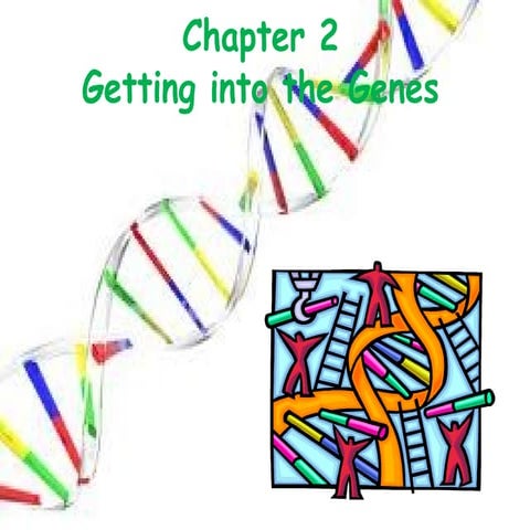Genetics 2 tuesday presentation | PPTX