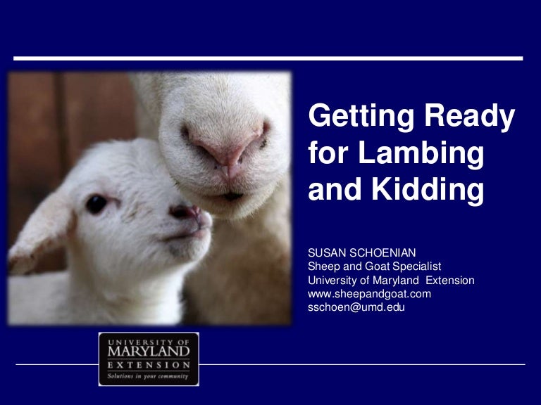 Getting Ready For Lambing And Kidding