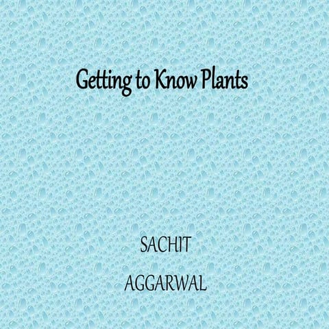Getting to know plants