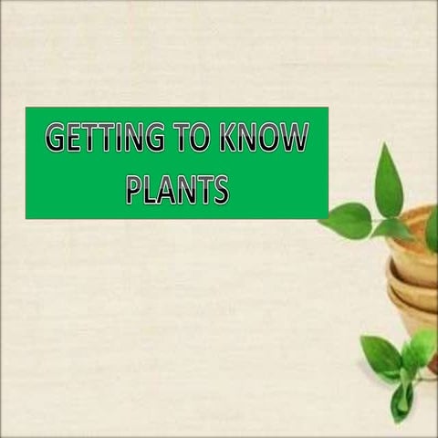 Getting to know plants