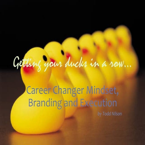Career Changer Mindset, Strategy, Branding and Execution: Getting Your Ducks ...