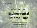 What is the Environmental Defense Fund