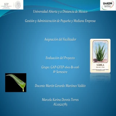 Evaluación de Anteproyecto