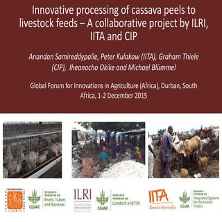 Innovative processing of cassava pe...