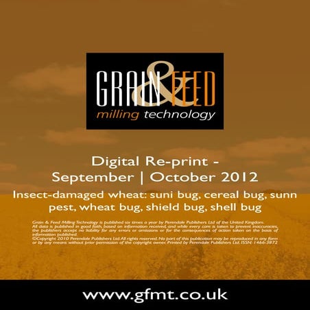 Insect-damaged wheat: suni bug, cereal bug, sunn pest, wheat bug ...