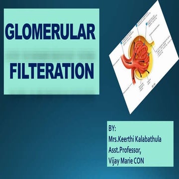 GLOMERULAR FILTRATION /TUBULAR REABSORPTION AND SECRETION