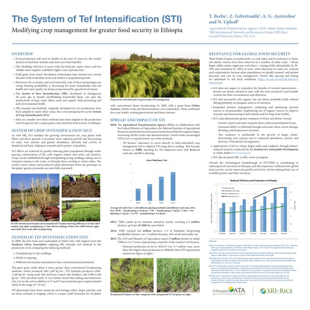 1512 - The System of Tef Intensification (STI)