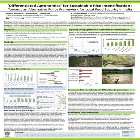 1316 - ‘Differentiated Agronomies’ for Sustainable Rice Intensification 