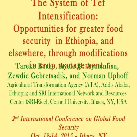 1511 - The System of Tef Intensification