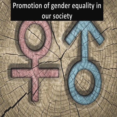 Promotion of gender equality in our society
