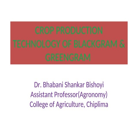 green gram and black gram production tech.ppt
