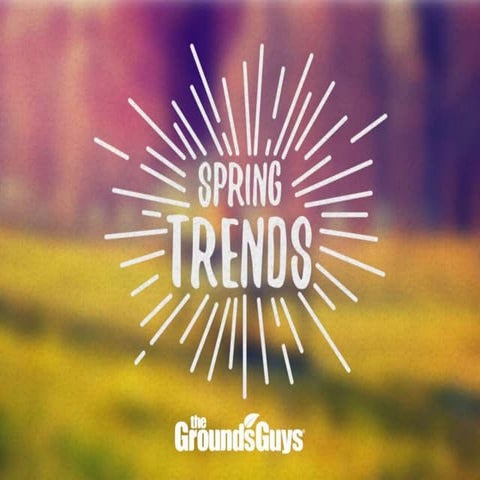 Canada: Spring Trends | Tips from The Grounds Guys®