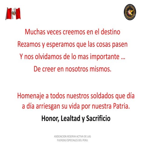 SOLDADOS DE HONOR