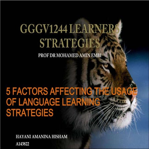 Factors Affecting Language Learning Strategy Use