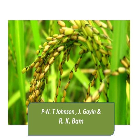 Ghana presentation   johnson