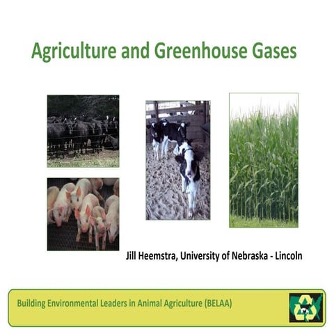 Greenhouse Gases and Animal Agriculture