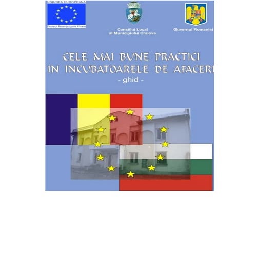 Ghid Cele Mai Bune Practici In Incubatoarele De Afaceri