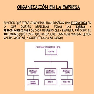 Organización en la empresa