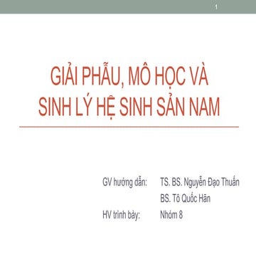 giai phẫu nhom 8.pptx