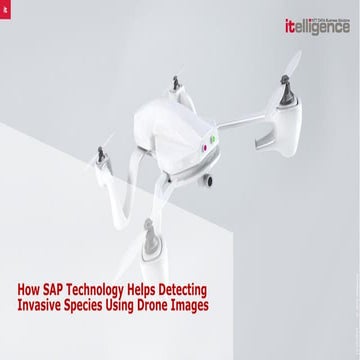 Giant Hogweed Innovation Case