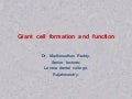 Giant cell formation and function ppt